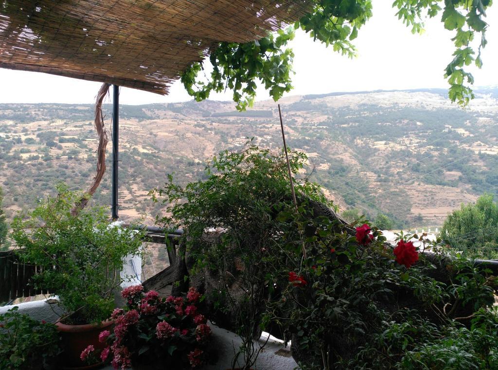 הוילה בוביון Casa El Porton מראה חיצוני תמונה